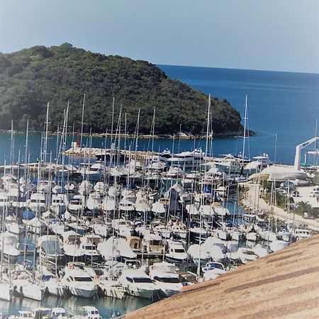 Apartments Papilon Vrsar Dış mekan fotoğraf